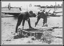 The army inspect a bomb crater. A Bf110 is in the background